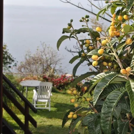 In Canhas Mit Schoenem Garten By Interhome *