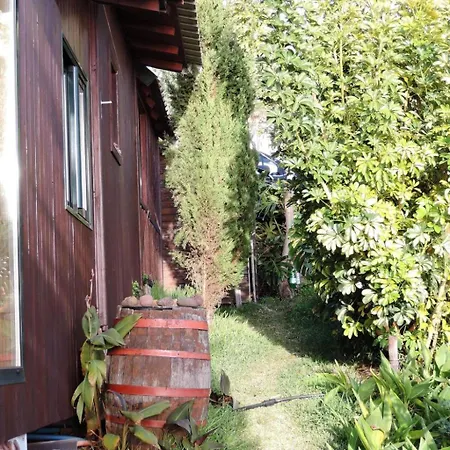 In Canhas Mit Schoenem Garten By Interhome Ponta do Sol (Madeira)