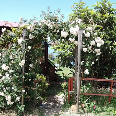 In Canhas Mit Schoenem Garten By Interhome * Ponta do Sol (Madeira)