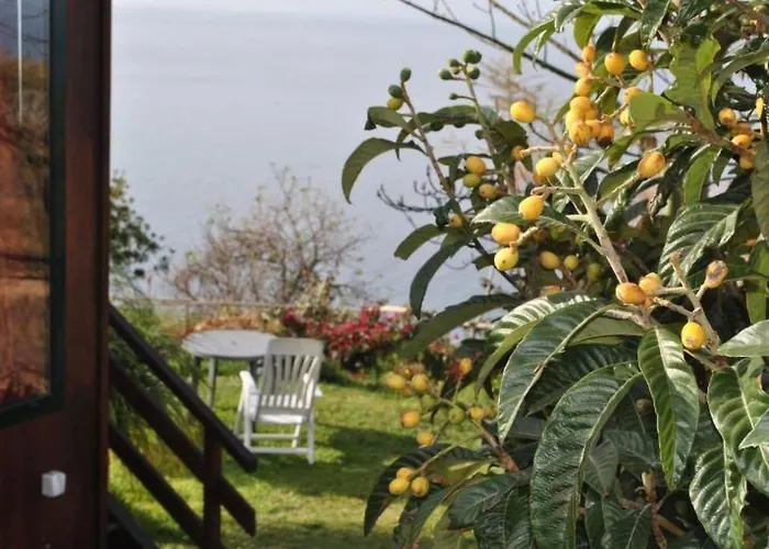 In Mit Schoenem Garten By Interhome *